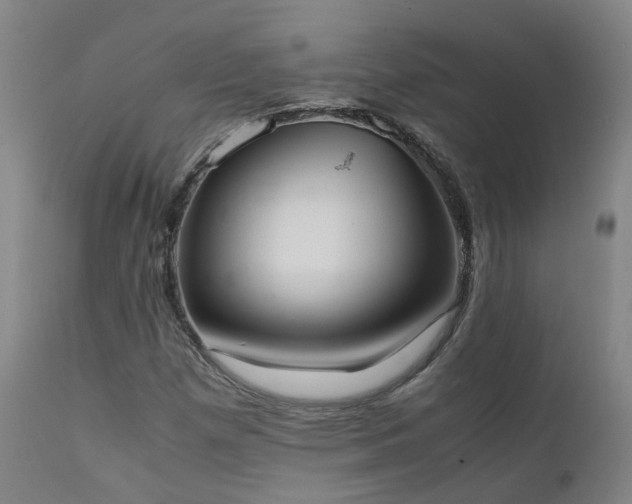 X0000111661257200907171601