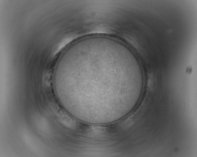 X0000111661258200907171601