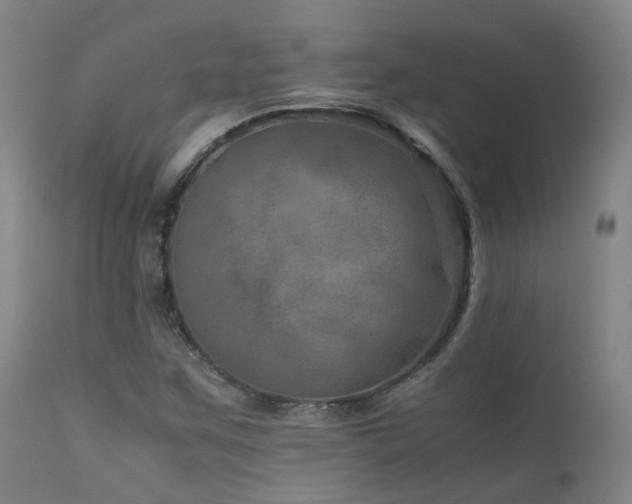 X0000111661259200907171601