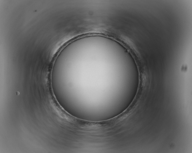 X0000111661260200907171601
