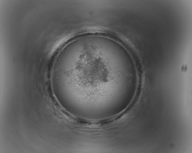 X0000111661261200907171601