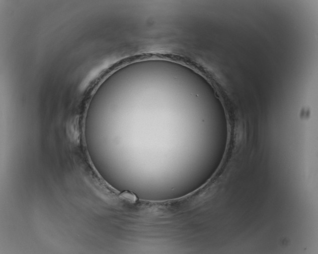 X0000111661262200907171601