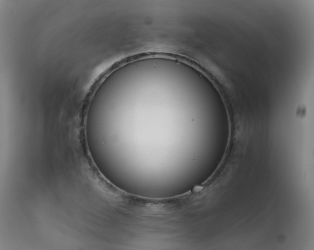 X0000111661264200907171601