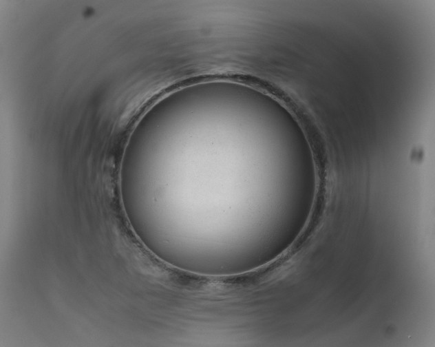 X0000111661265200907171601