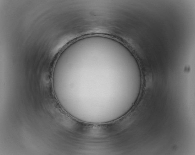 X0000111661266200907171601