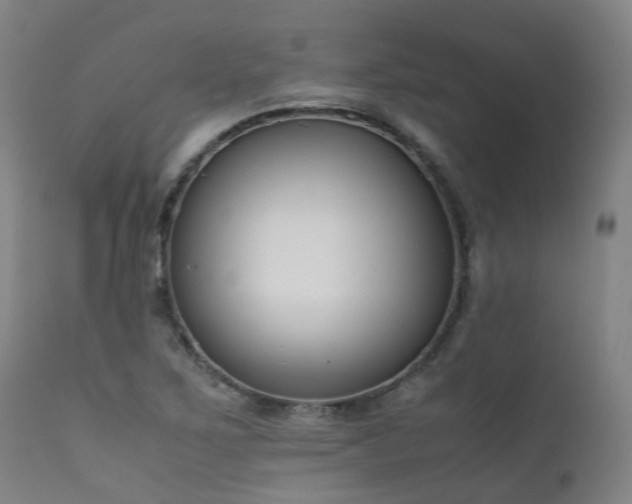 X0000111661267200907171601