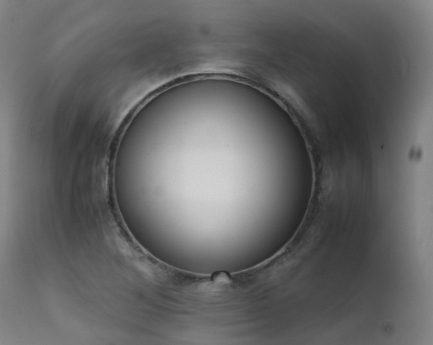 X0000111661268200907171601