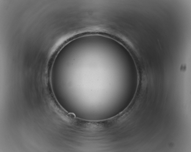 X0000111661270200907171601