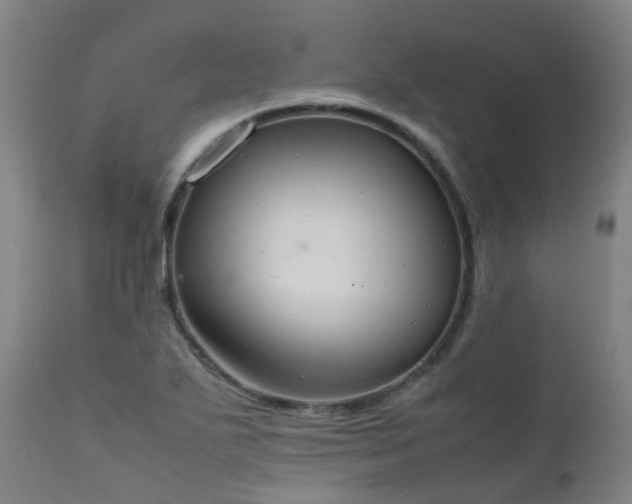 X0000111661271200907171601