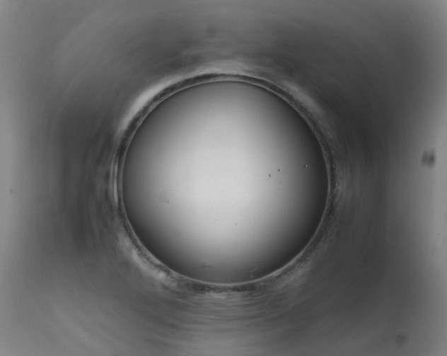 X0000111661272200907171601