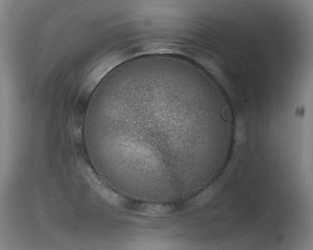 X0000111661273200907171600