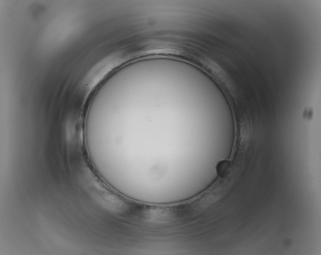 X0000111661274200907171600