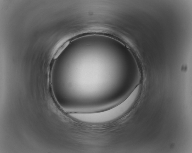 X0000111661275200907171600