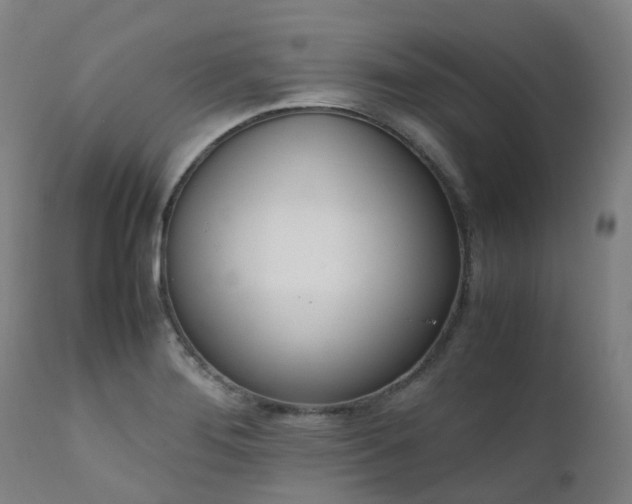 X0000111661276200907171600