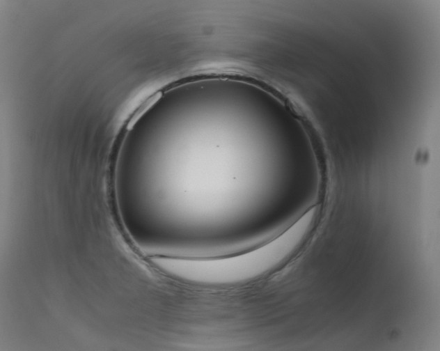 X0000111661277200907171600