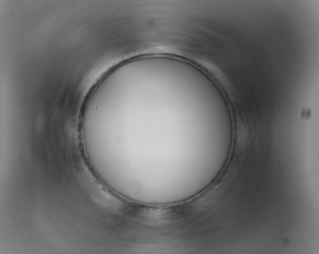 X0000111661278200907171600