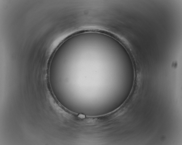 X0000111661279200907171600