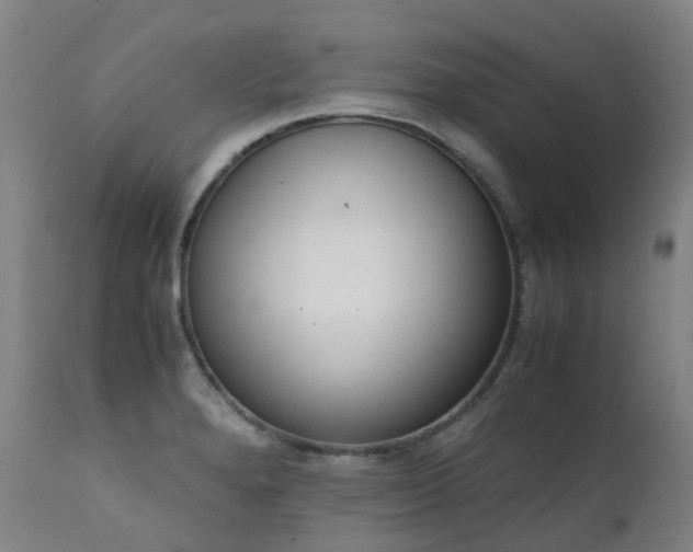 X0000111661280200907171600