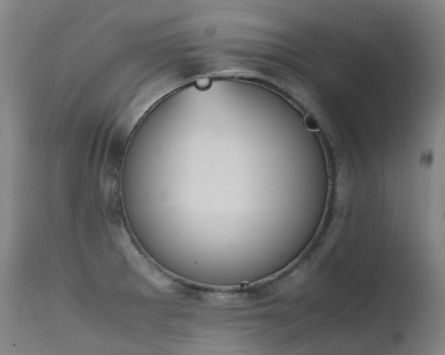 X0000111661281200907171600