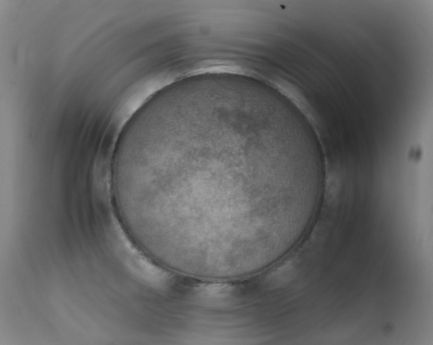 X0000111661282200907171600
