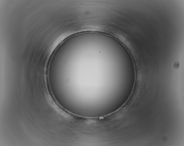 X0000111661283200907171600