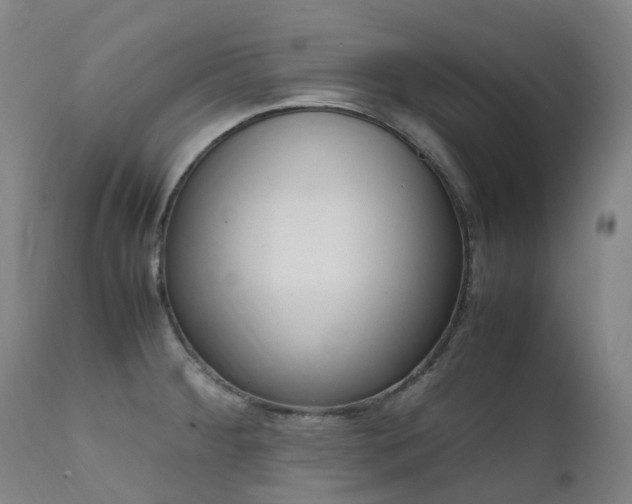 X0000111661284200907171600