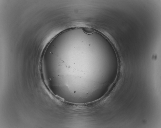 X0000111661285200907171600