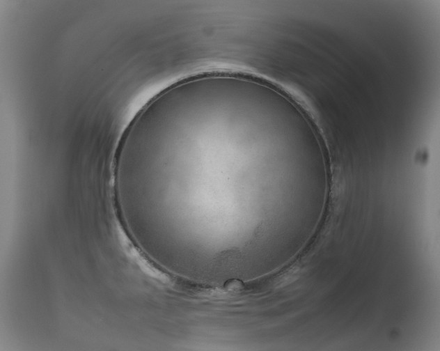 X0000111661287200907171600