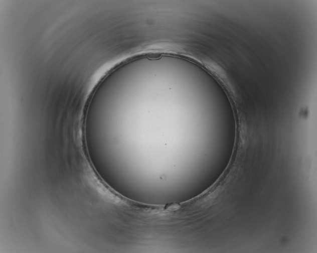 X0000111661288200907171600