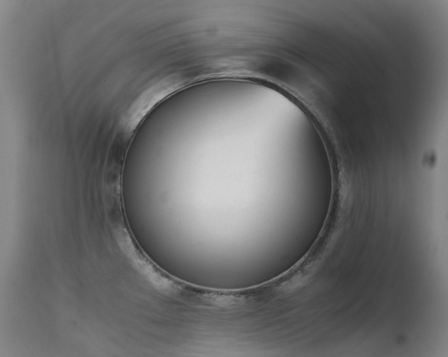 X0000111661289200907171600