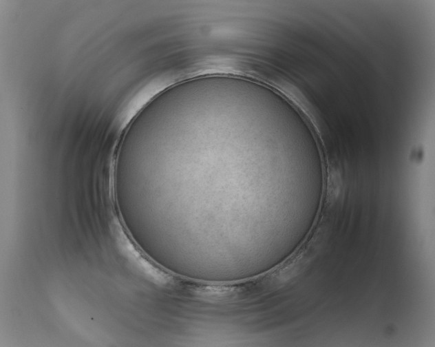 X0000111661290200907171600