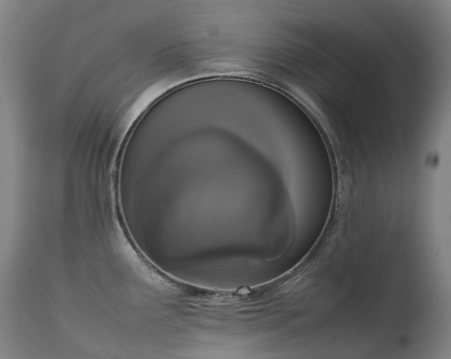 X0000111661291200907171600