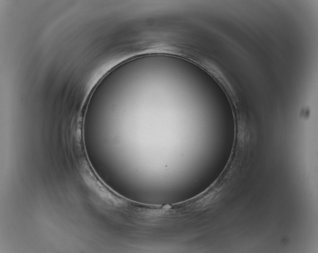 X0000111661292200907171600