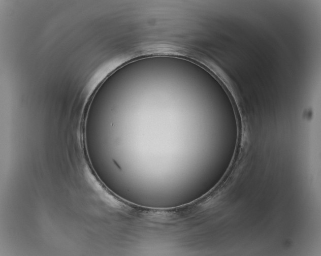X0000111661293200907171600