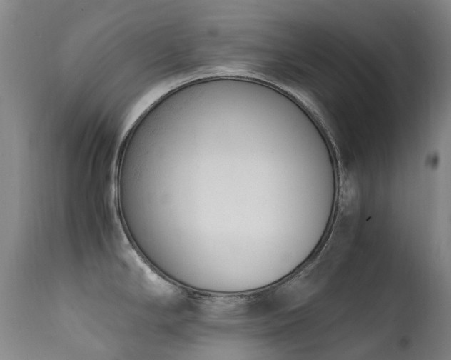 X0000111661294200907171600