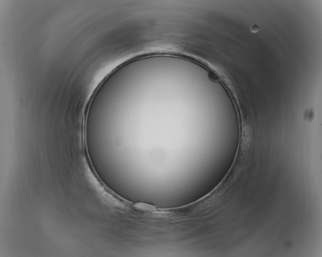 X0000111661295200907171600