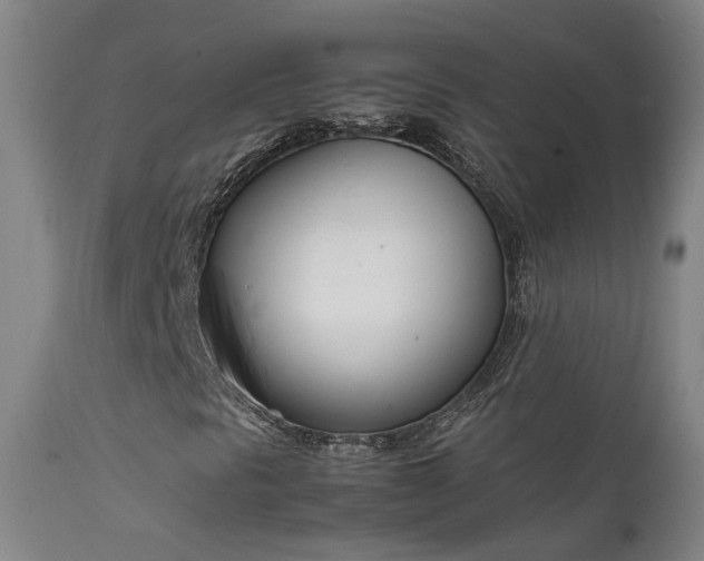X0000111661297200907171559