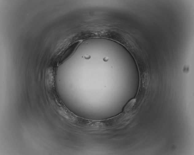 X0000111661298200907171559
