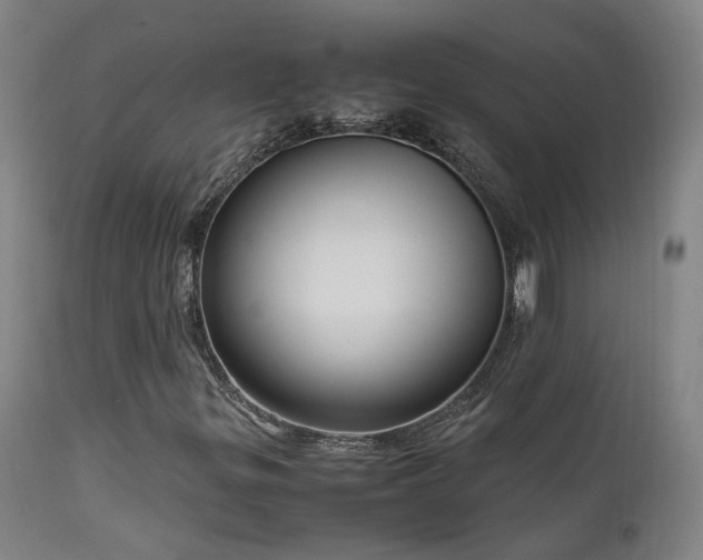 X0000111661299200907171559