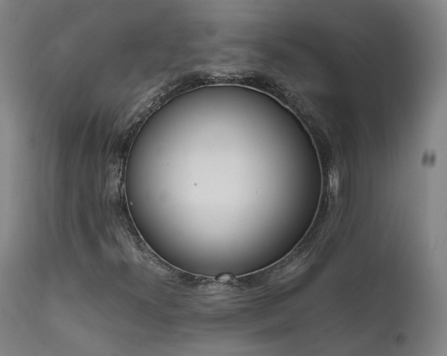 X0000111661300200907171559