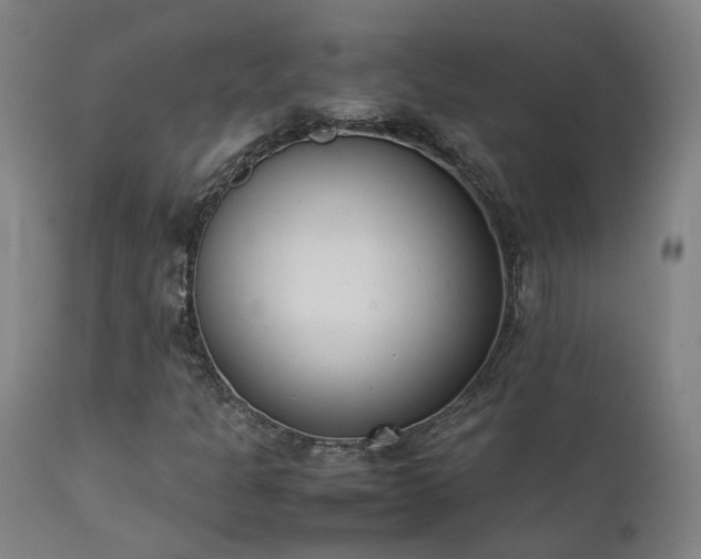 X0000111661301200907171559