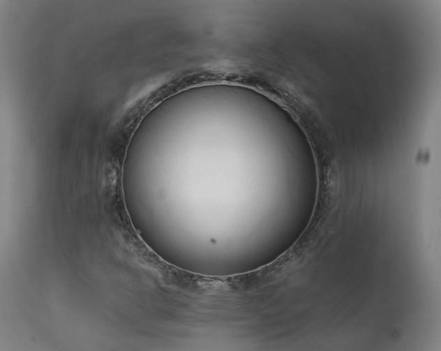 X0000111661302200907171559