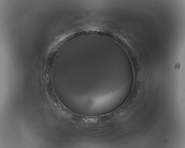 X0000111661303200907171559