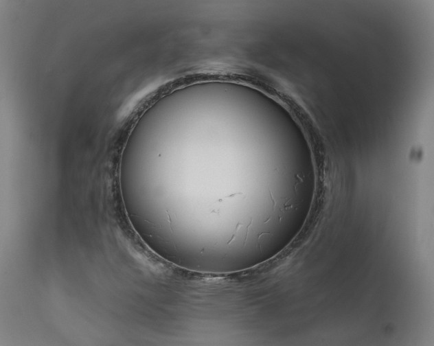 X0000111661304200907171559