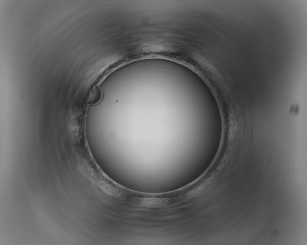 X0000111661305200907171559
