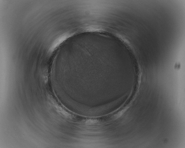 X0000111661306200907171559