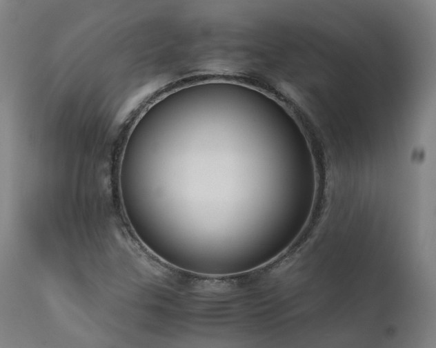 X0000111661307200907171559