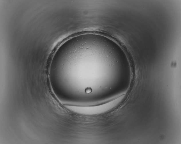 X0000111661308200907171559
