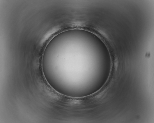 X0000111661309200907171559