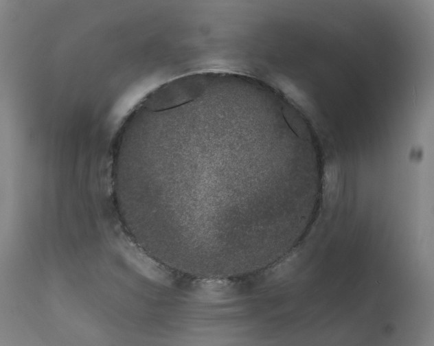 X0000111661310200907171559